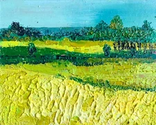 Meadow oil Painting Impasto Artwork Original Oil Field Painting