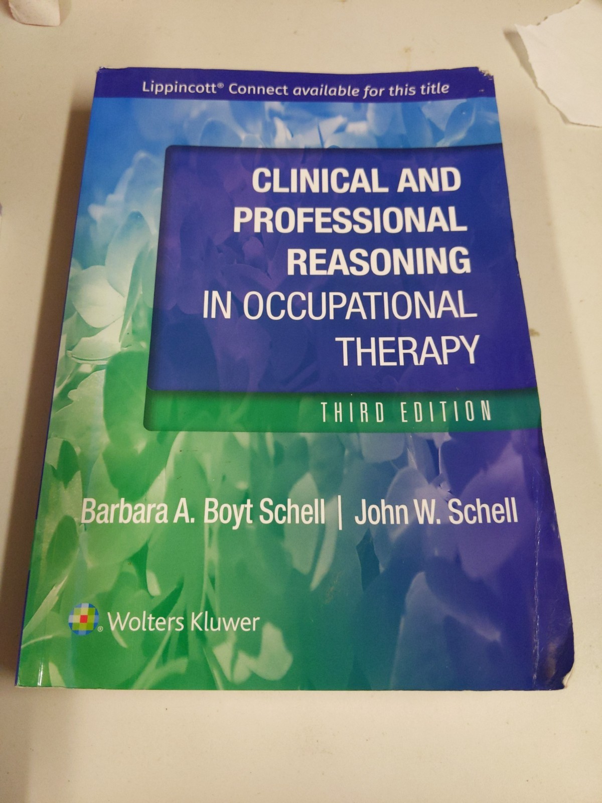Clinical and Professional Reasoning in Occupational Therapy - 9781975196851