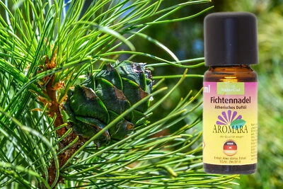 AROMARA Ätherisches Öl Fichtennadel / Abies Sibirica 10ml Duftöl Aromaöl Fichte