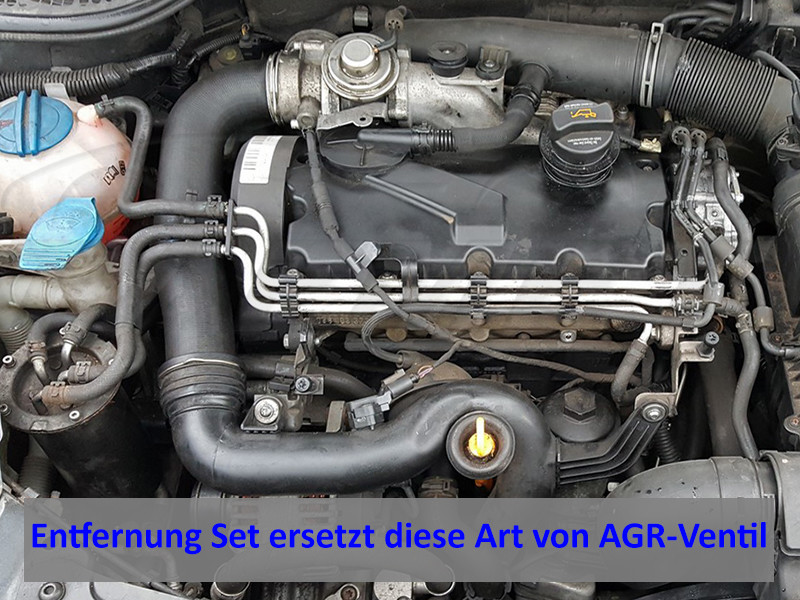 Bild 7 von 7