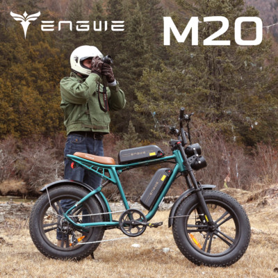 Electric Bikes Front Suspension 1000w Motor Peak Power 45km/h 75+75km max range 