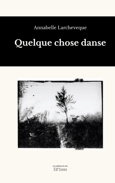 Annabelle Larcheveque | Quelque Chose Danse | Taschenbuch | FranzöSisch (2024)-image