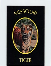 Postcard Tiger Athletic Symbol of University of Missouri Columbia Missouri USA