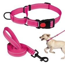 Reflective Martingale Dog Collar Leash Set for Small Medium Large Dogs - Hot P