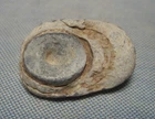 Dug Civil War Mushroomed Williams Cleaner Bullet from Charleston