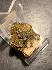 Goethit, Var. Samtblende, Pribram, Tschechien