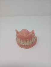 False Teeth Dentures - Full Set w/ Upper and Lower - For Art Sculpture Trainer