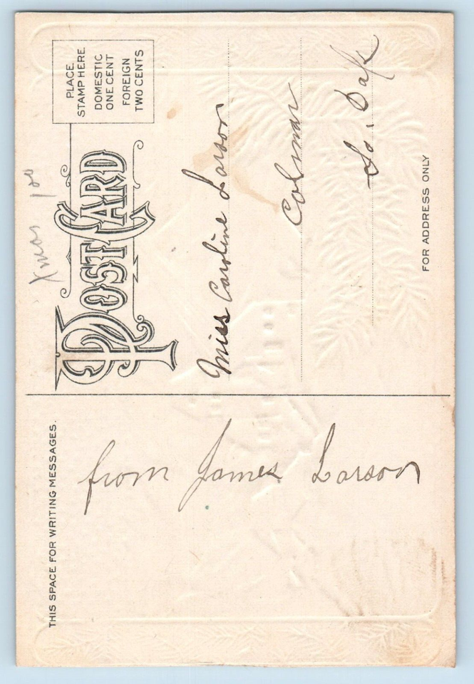 Christmas Postcard House Winter Scene Embossed Colman South Dakota SD