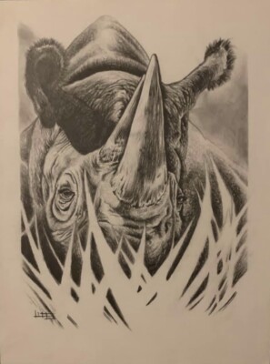 Original pencil drawing Set Of African Lion, Rhino, Elephant, Leopard, Buffalo