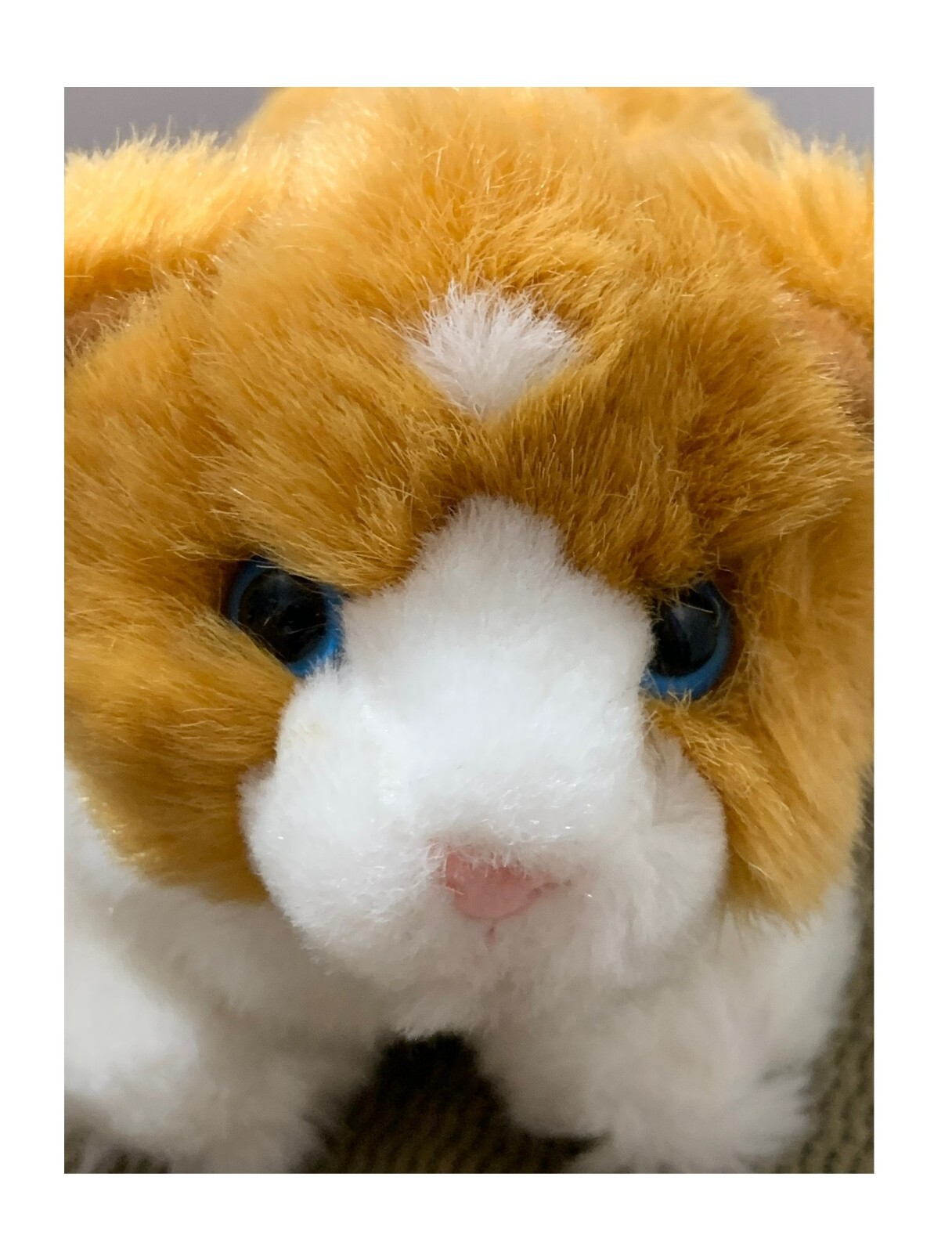 1988 RARE VINTAGE LEMONWOOD ASIA CAT PLUSH/STUFFED ANIMAL eBay