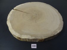 Eiche, Baumscheibe, massiv, Tischplatte, Baumstamm, ca. 50 x 47 x 5,5 cm