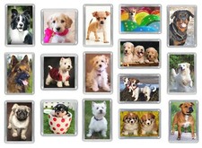 Dog Fridge Magnets Pug Staffy Beagle Chihuahua Shih Tzu Jack Russell Choose