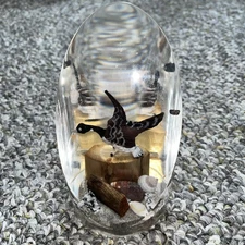 Vintage Lucite Paperweight 