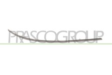 Zier-Schutzleiste Sto&szlig;f&auml;nger Vorne Rechts F&uuml;r Mercedes A-Klasse W169 2004-2012