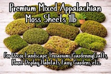 Live Fresh Moss For Bonsai, Terrarium, Vivarium, Fairy Gardens, Decor 1lb.