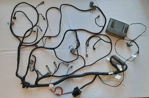 LS Harness W/ PCM ECM Drive By Cable Standalone 4L60E 4.8 5.3 6.0 Blue