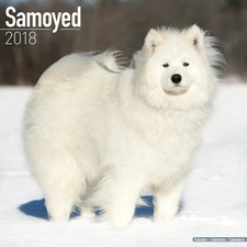 Calendrier 2018 - SAMOYEDE