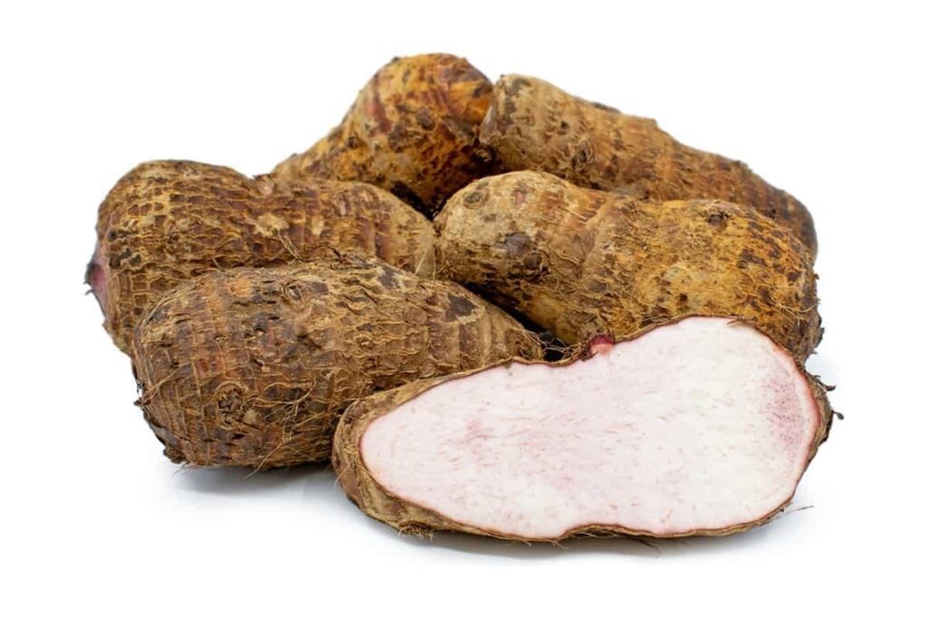 Taro Root, can be used as a starchy vegetable or perennial