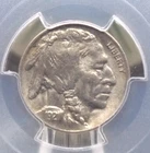 1921 "P" Indian Head BUFFALO Nickel 5c PCGS MS62 #492 Unc Uncirculated ECC&C Inc