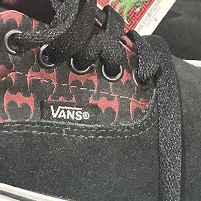 STEVE CABALLERO ERA VANS 9 SUPER RAre | eBay STEVE CABALLERO ERA VANS 9 SUPER RAre | eBay