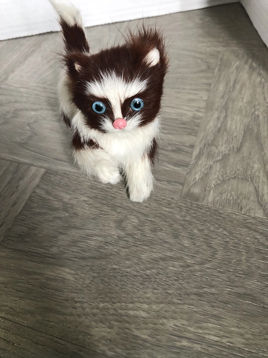 Kitten fur clearance