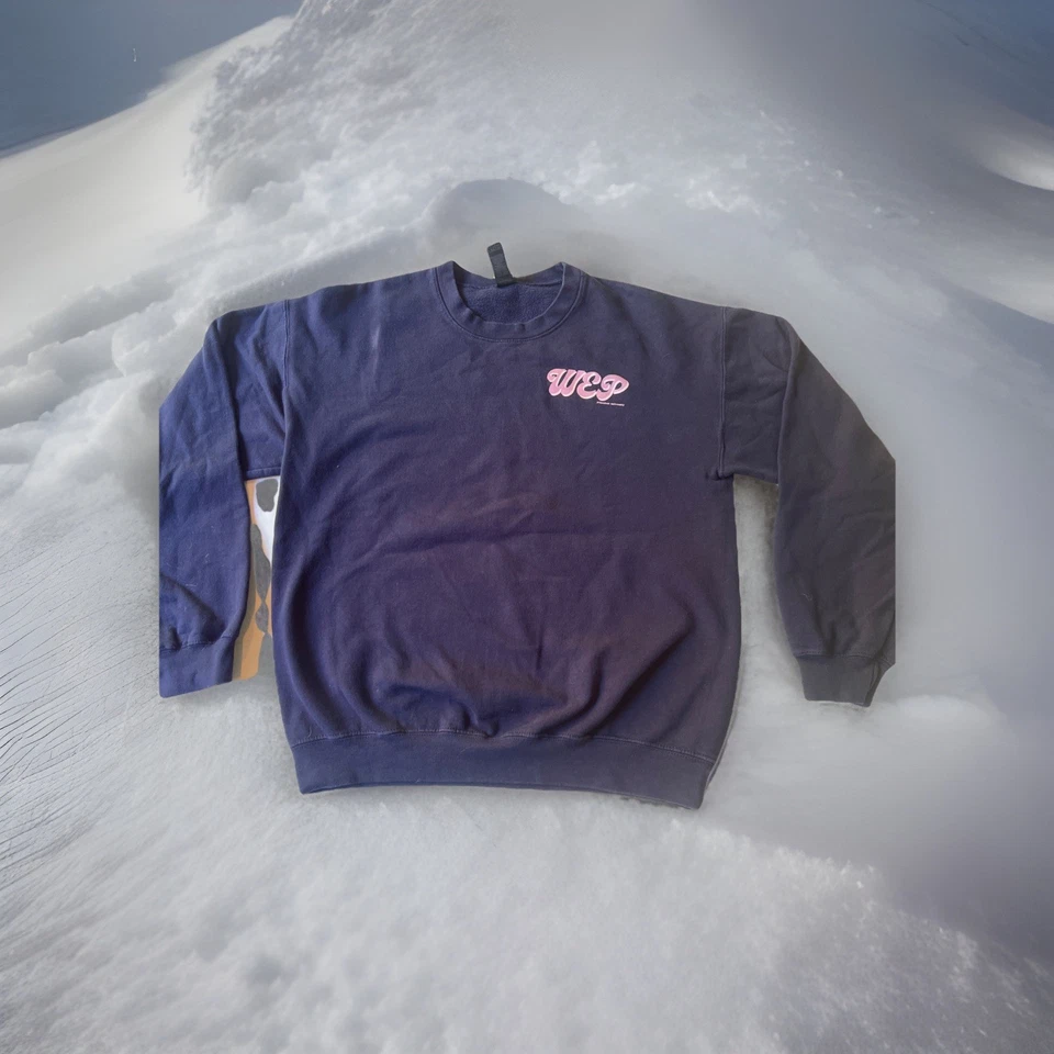 Sudadera mediana rara de los Tigres de la Universidad de Princeton para mujeres en economía y política Foto 2 de 4