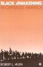 Black Awakening in Capitalist America: An Ana...