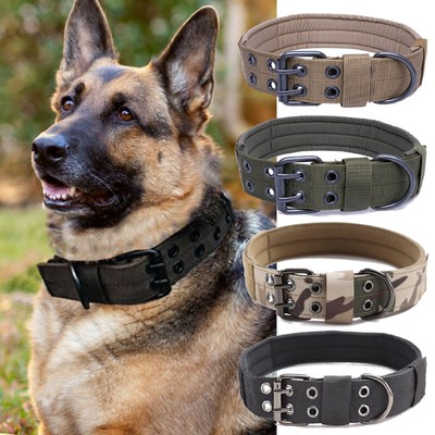 combat dog collars
