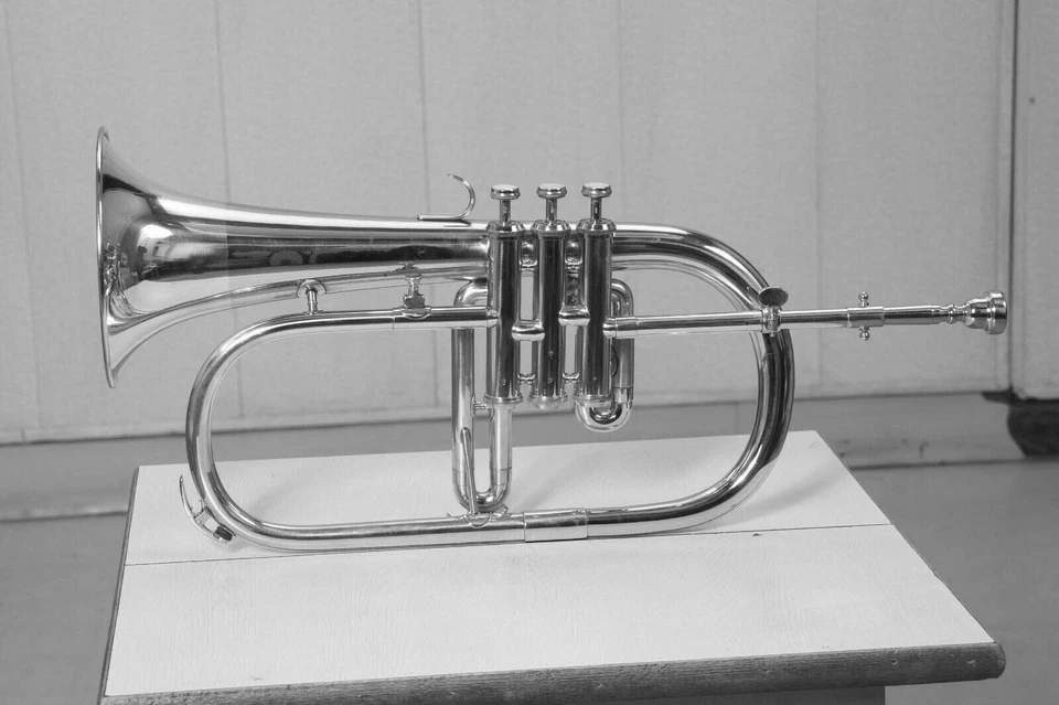 Flugelhorn acabado níquel BB paso con estuche rígido y boquilla Foto 3 de 4