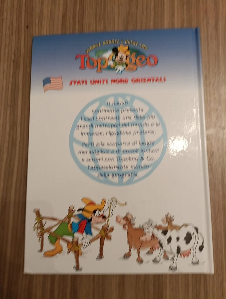 {BRX11} libro - TOPOGEO 2 Stati uniti nord orientali  -De AGOSTINI junior DISNEY - Immagine 3 di 4