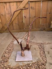 Natural Driftwood For Aquarium/Terrarium/Arts, And Crafts