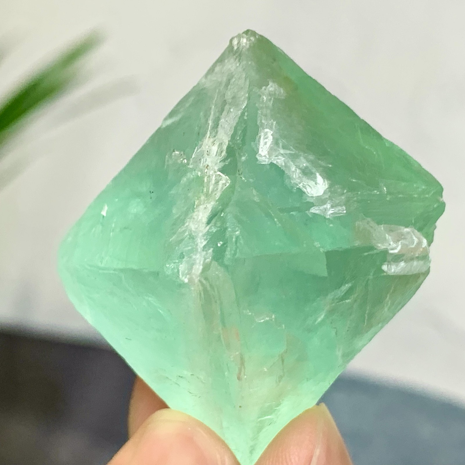 61G Natural Blue Green Fluorite Octahedron Crystal for Healing Energy