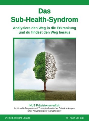 Das Sub-Health-Syndrom ~ Karin Voit-Bak ~  9783948309084