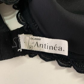 Lise Charmel Antinea Essential Fit Bra 34F Black Spacer Underwire Bra DC2699