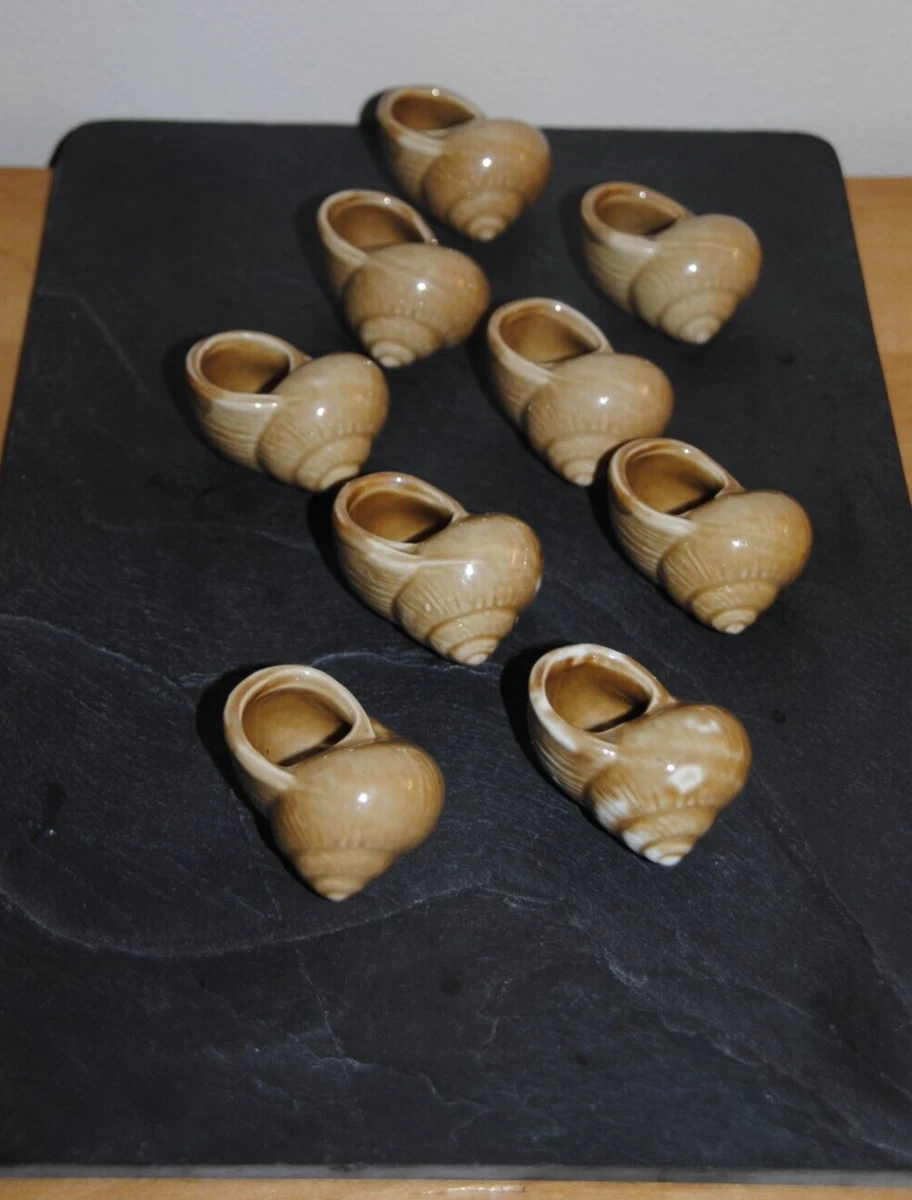 COMMENT LES ESCARGOTS FABRIQUENT-ILS LEUR COQUILLE ? - Hélinove