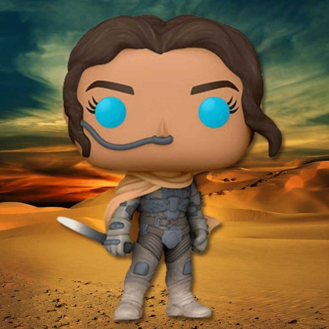 funko pop chani