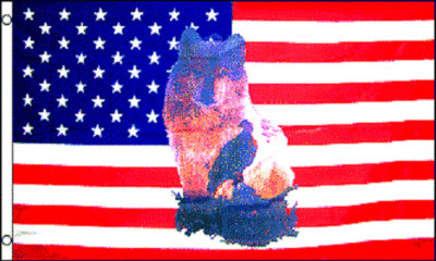 3x5 USA US American America Lone Wolf and Eagle Flag 3'x5' banner Brass Grommets