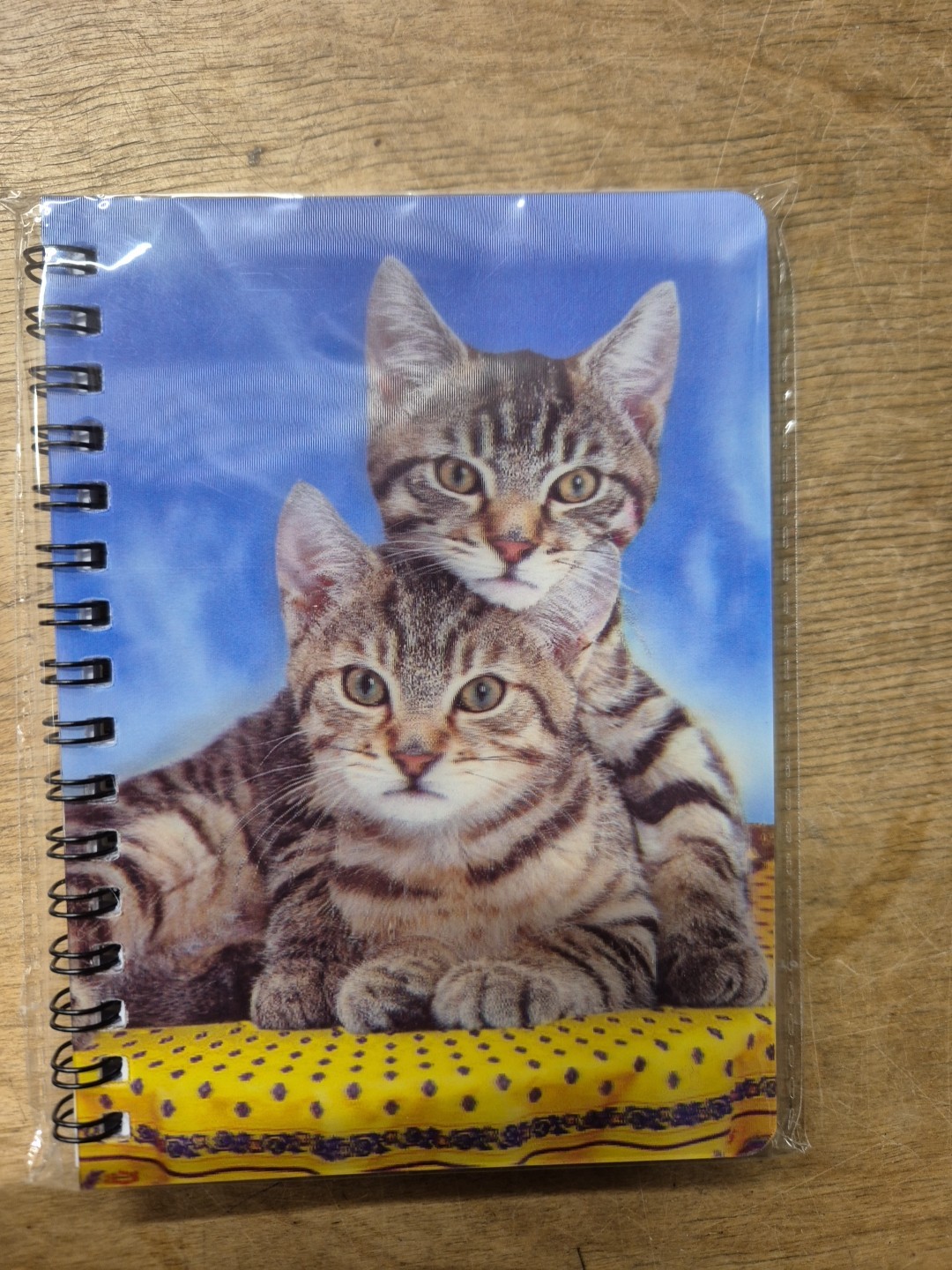 TABBY KITTENS notebook Tabby cats Notebooks Tabby Cat lined A6 Notepad kitten