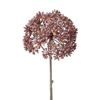 artplants Deko Allium Blume Mindar, Gefroren, Burgunderrot, 45Cm