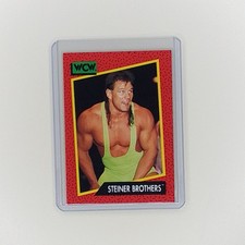 1991 IMPEL WCW SCOTT STEINER #106 Steiner Brothers Wrestling Card 