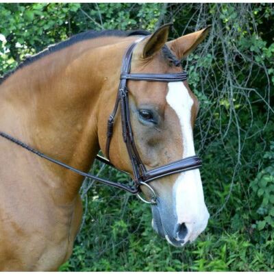 KL Select Red Barn Ocala Hunter Bridle
