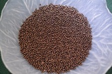 Matsuno Seed Beads 11/0 - Purple Iris Bronze