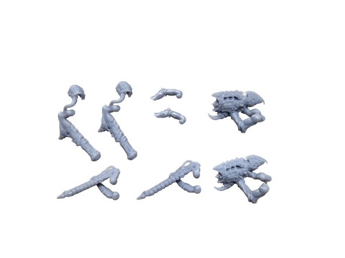 Warhammer 40k Tyranids Biosigns Terminated Broodlord Store