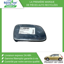 Glace de rétroviseur Peugeot 307