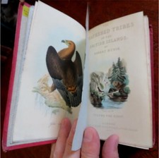 British Birds Mudie's Ornithology Guide 1854 pictorial book 16 color plates