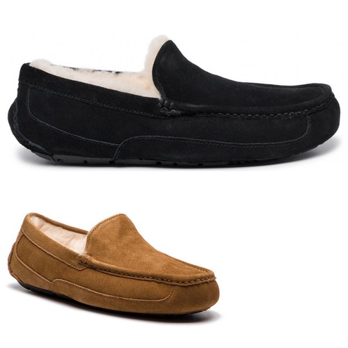 ugg men's casual shoes
