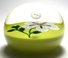 St Louis White Flower with Bud on Pistachio Ground - Limited Edition Magnum 1973 — photo 5