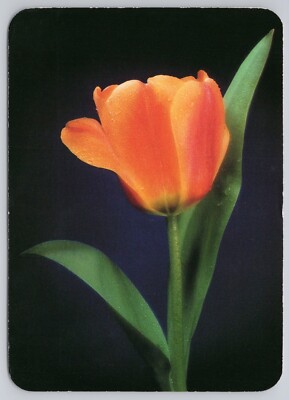 Postcard Hallmark Happy Easter Tulip Flower