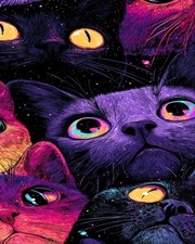 Paint by Numbers for Adults Beginner, Colorful Cat Face Adult Paint by Number K