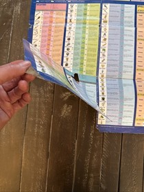 World of Dragon Warrior II (2) Map Poster Insert Video Game Nintendo NES Vintage